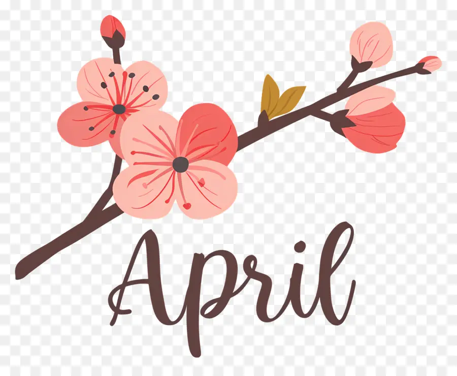 Abril，Design Floral PNG