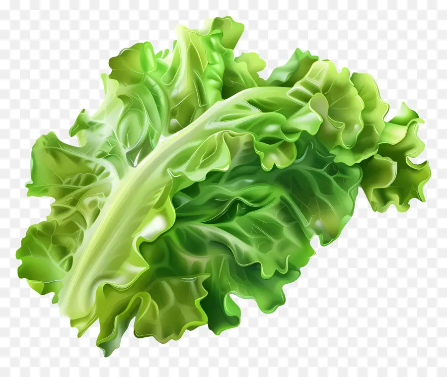 Alface，Vegetais De Folhas Verdes PNG