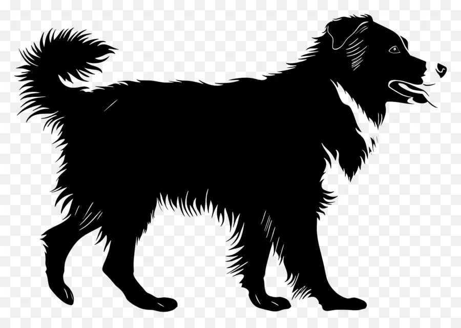 Cão Silhueta，Desenho A Preto E Branco PNG