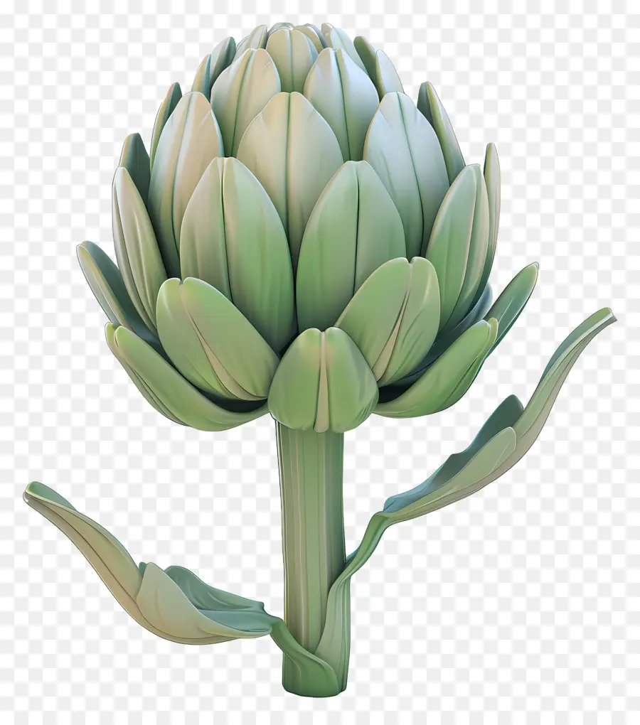 Alcachofra，Thistle PNG