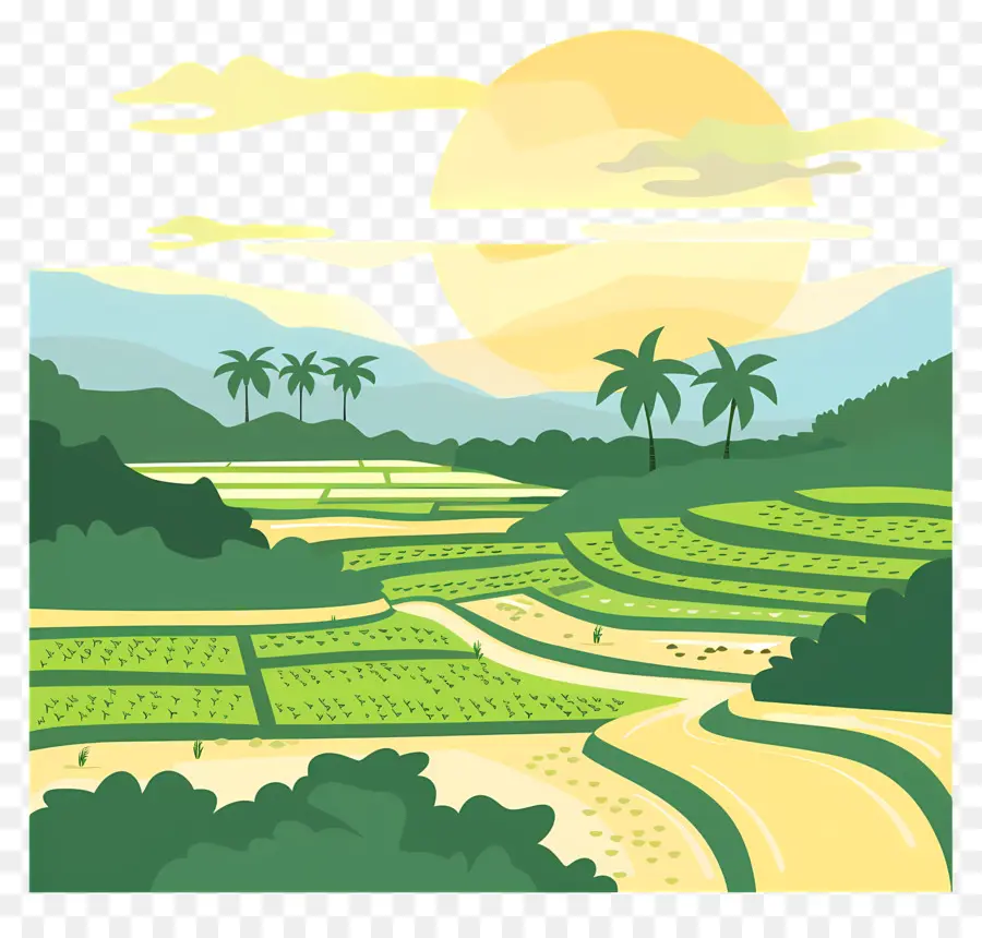 Paddy Field Background，Cartoon Paisagem PNG