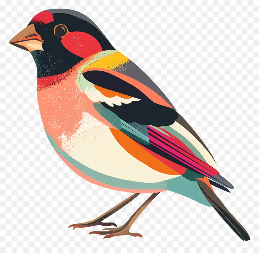 Pássaro Dia，Aves PNG