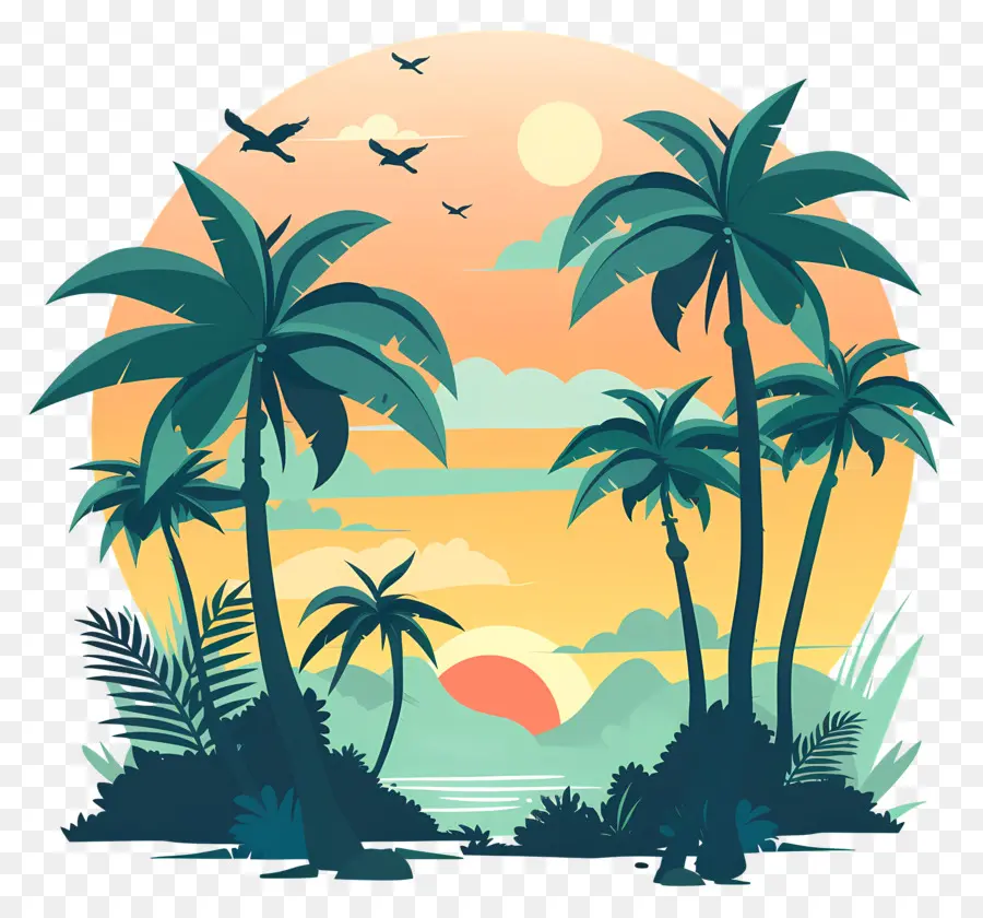 Palms De Praia，Pôr Do Sol PNG