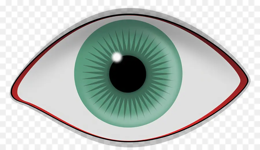 Proteção Para Os Olhos，Olho Cuidados PNG