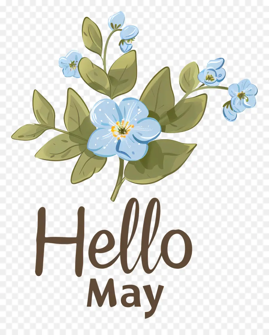 Olá Maio，Flores Azuis PNG