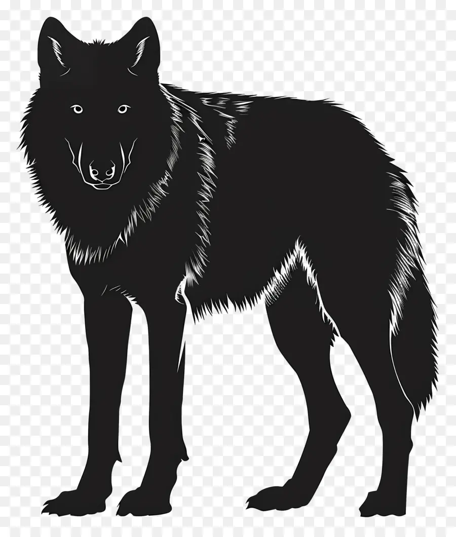 Lobo Silhueta，Lobo Negro PNG