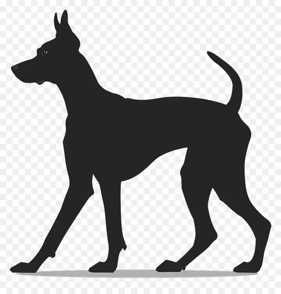 Cão Silhueta，Cachorro Em Pé PNG