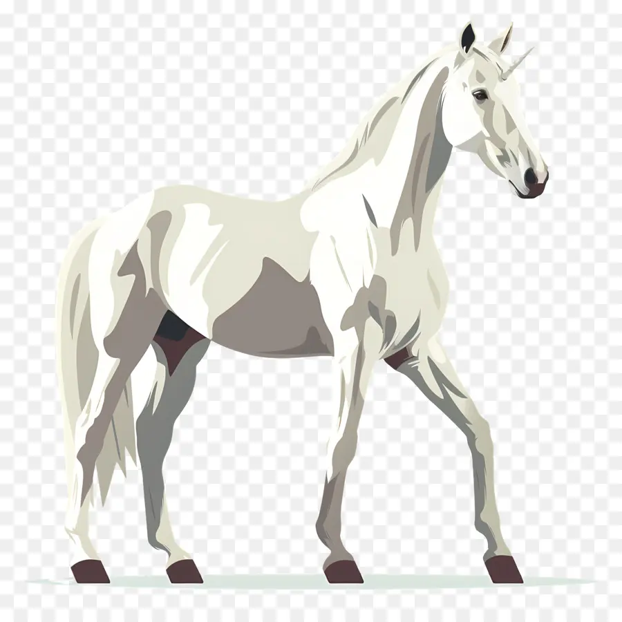 Cavalo Branco，De Pé PNG