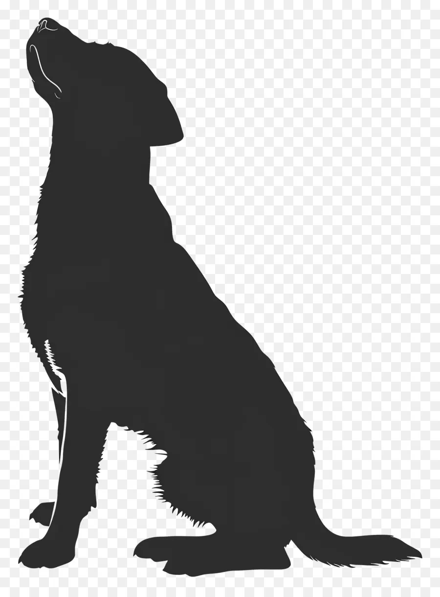 Cão Silhueta，Cachorro PNG