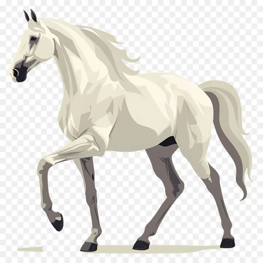 Cavalo Branco，De Pé Nas Patas Traseiras PNG