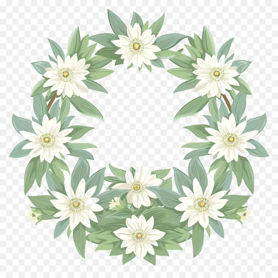 Edelweiss，Daisy Wreath PNG