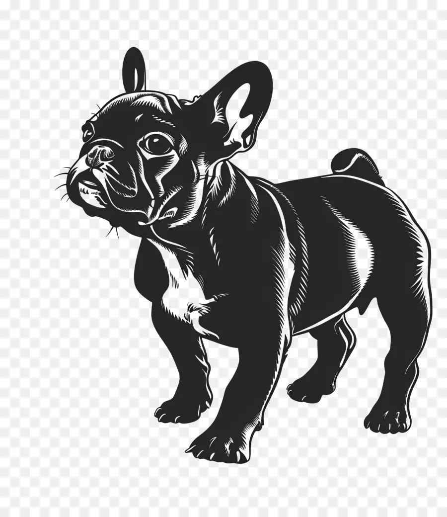 Cão Silhueta，Bulldog Francês PNG