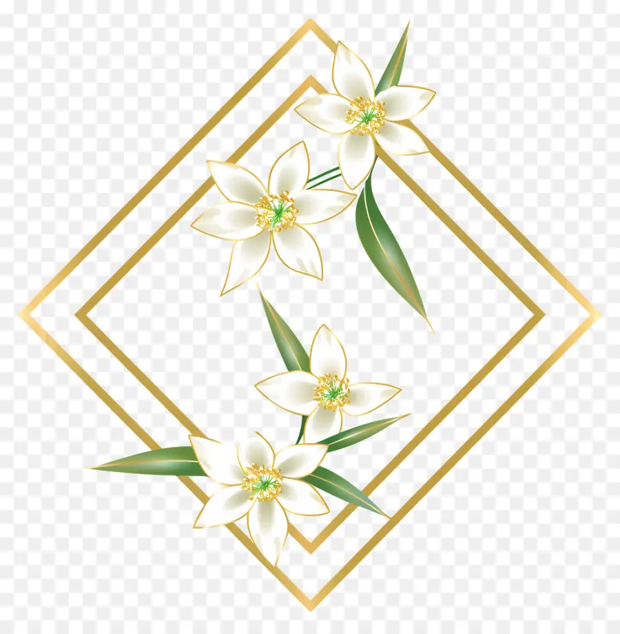Edelweiss，Flor PNG