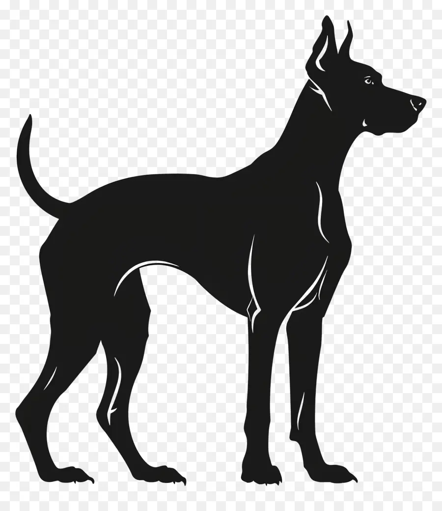 Cão Silhueta，Cachorro Grande PNG