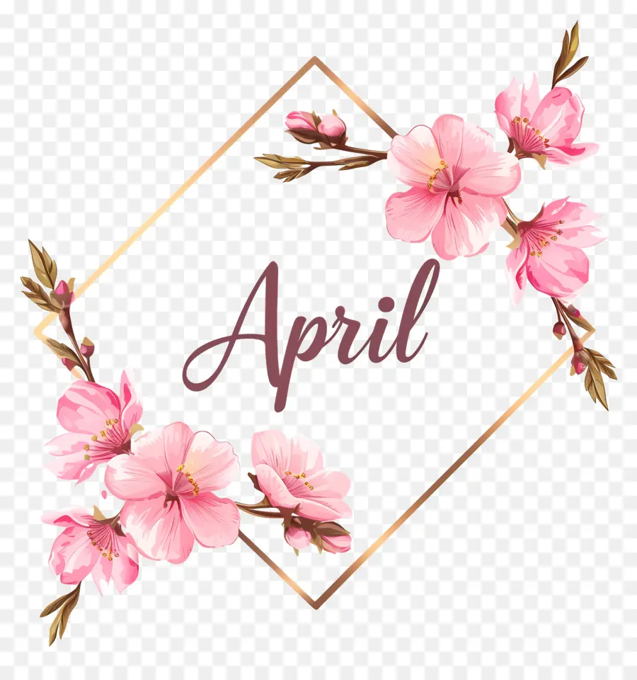 Olá Abril，Sakura Flor PNG