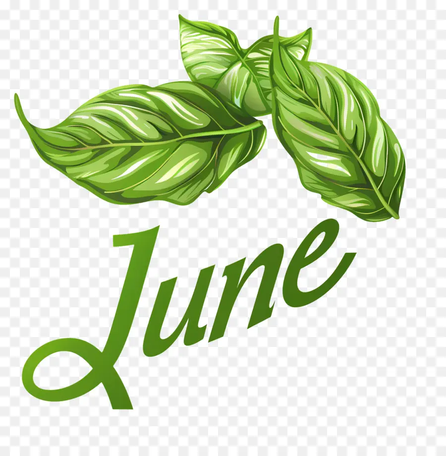 Olá Junho，Folhas Verdes PNG