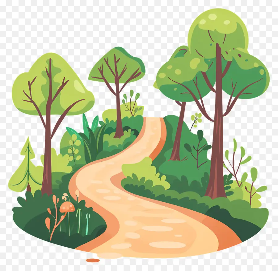 Path，Floresta Do Caminho PNG
