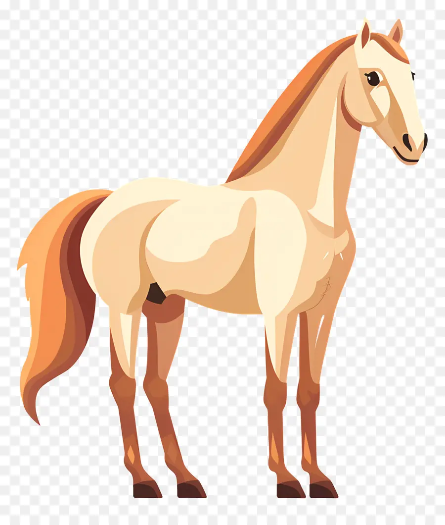 Cavalo Em Pé，Cavalo PNG