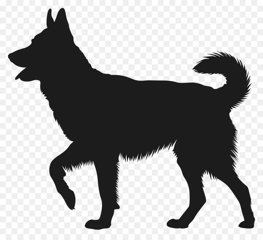 Silhueta De Cachorro，Lobo Negro PNG