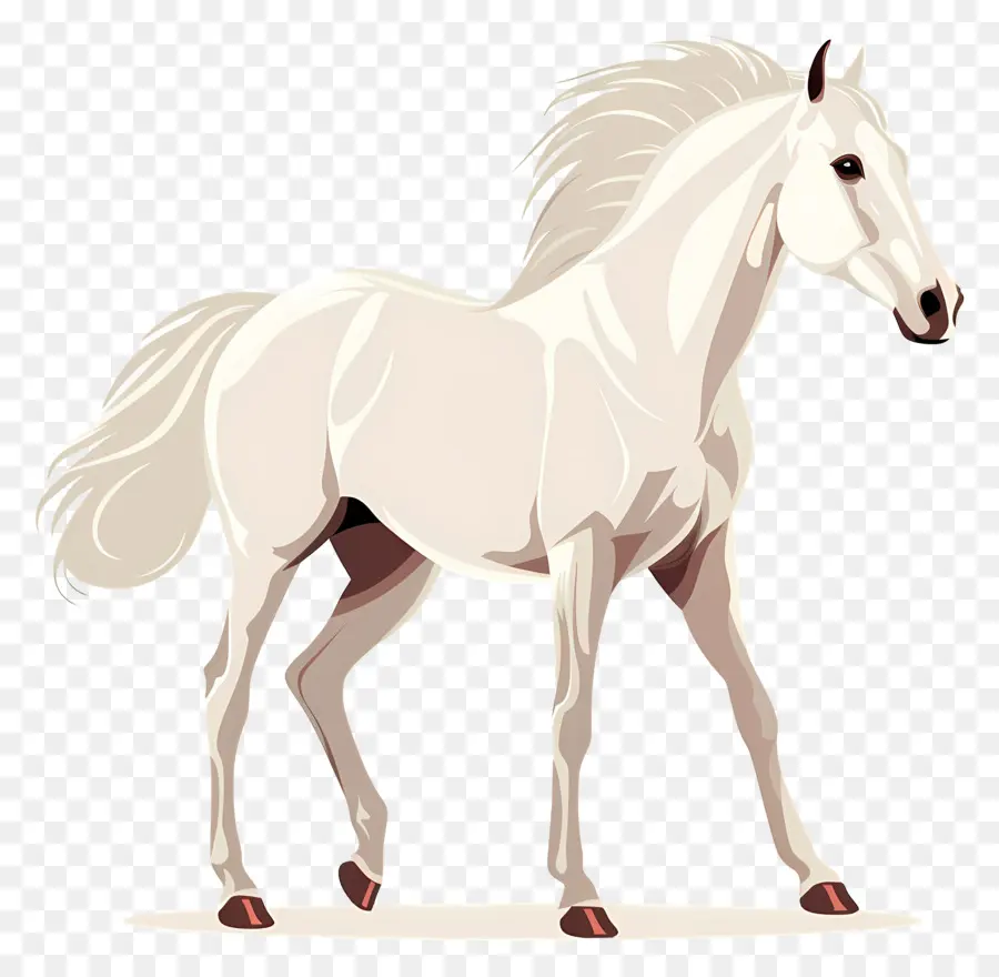 Cavalo Branco，De Pé Nas Patas Traseiras PNG