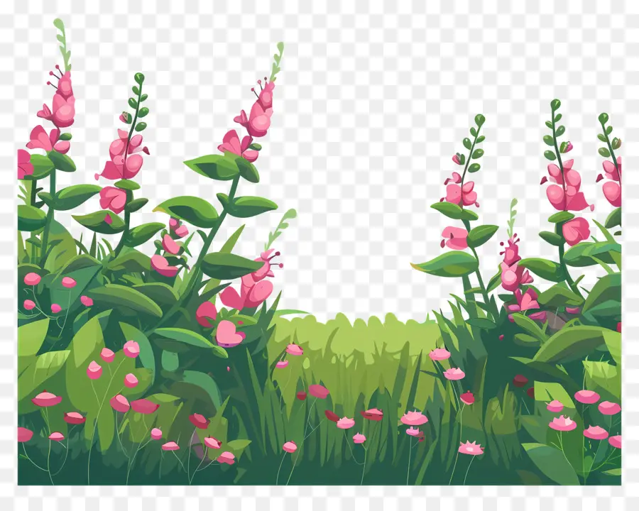 Snapdragon Field，Prado PNG