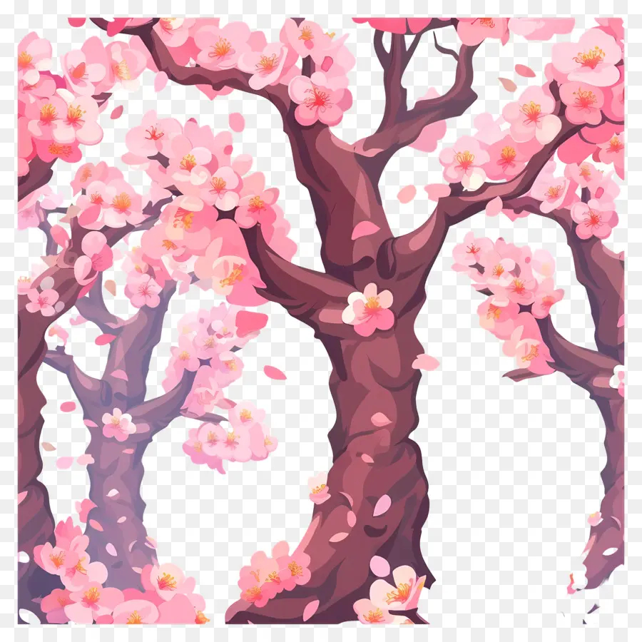 Spring Sakura Blossom，Árvores De Flor De Cerejeira PNG