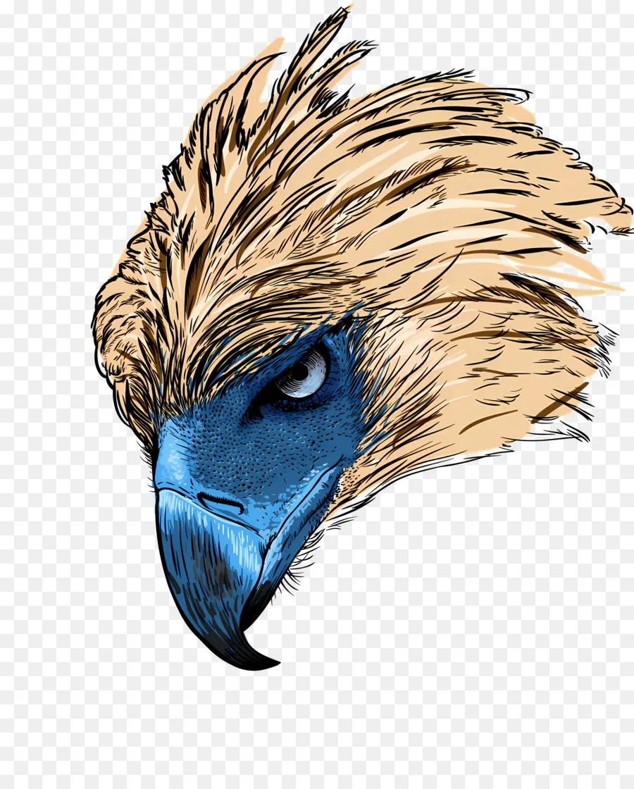 águias Logotipo，águia Careca PNG