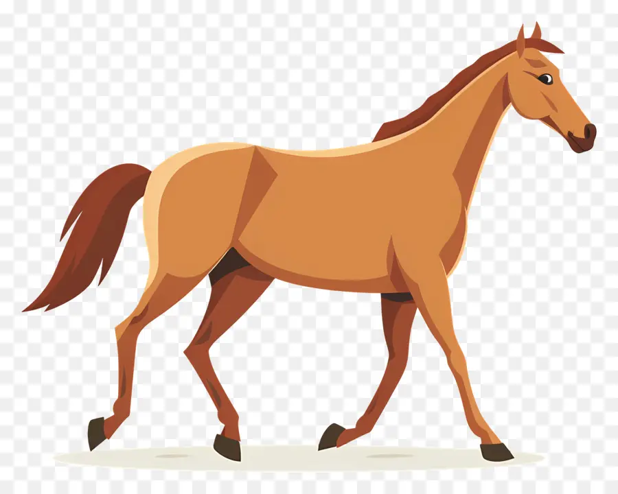 Desenho Animado Cavalo，Cavalo PNG