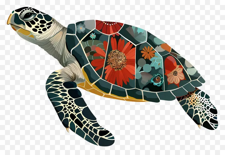 Tartaruga Marinha，Turtle PNG