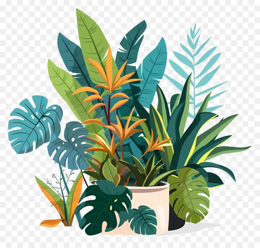 Plantas Exuberantes，Plantas Tropicais PNG