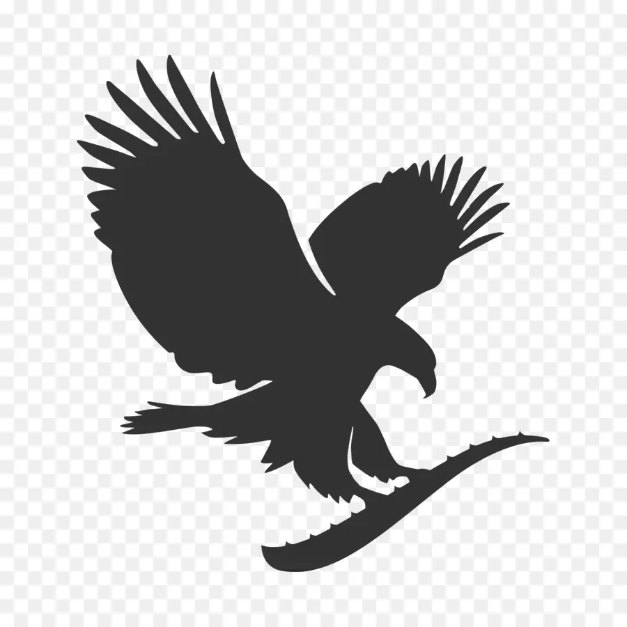 águias Logotipo，Mulher PNG