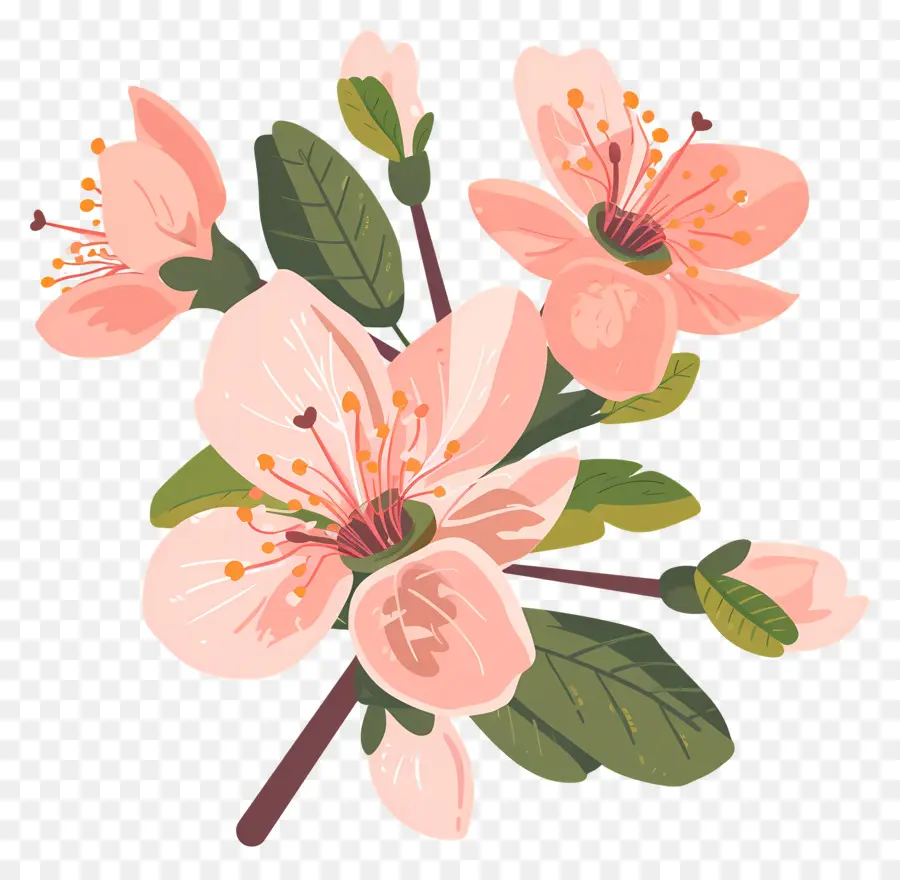 Flor De Pêssego，Flores Cor De Rosa PNG