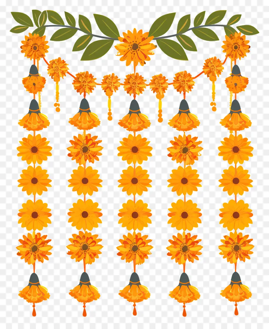 Craigold Toran，Marigold PNG