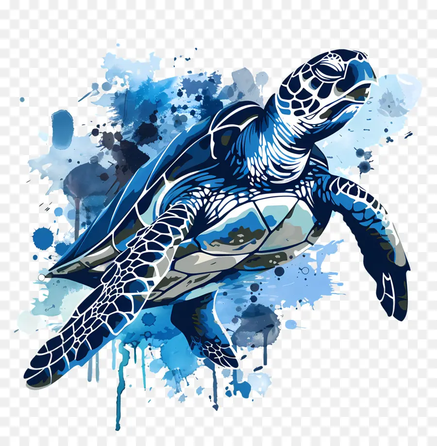 Tartaruga Marinha，Turtle PNG