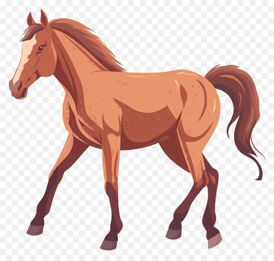 Desenho Animado Cavalo，Cavalo PNG