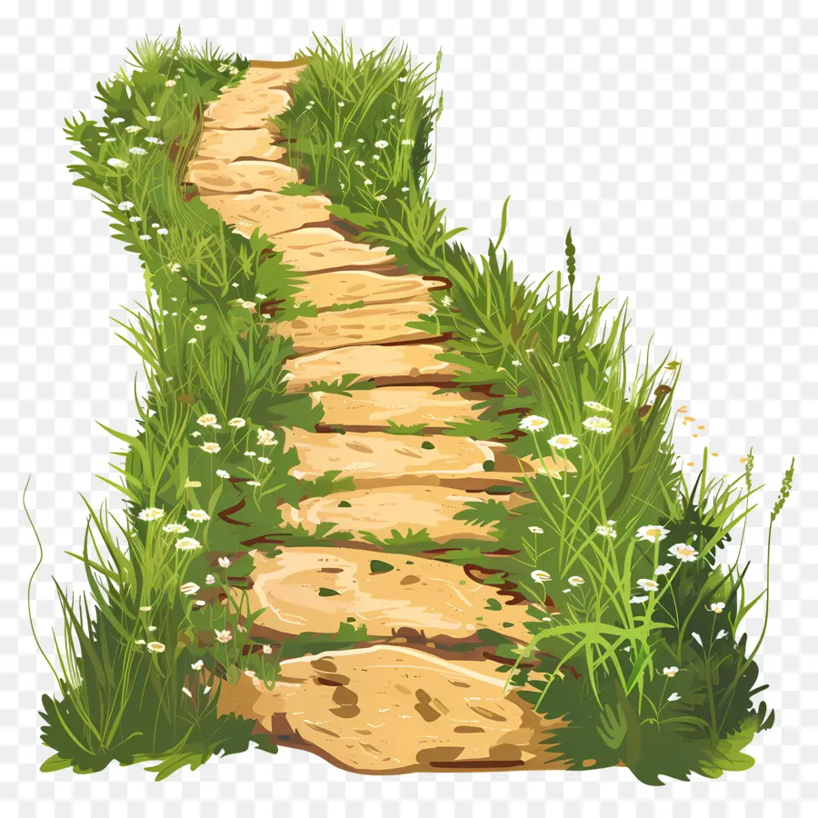 Caminho De Sujeira，Natureza PNG