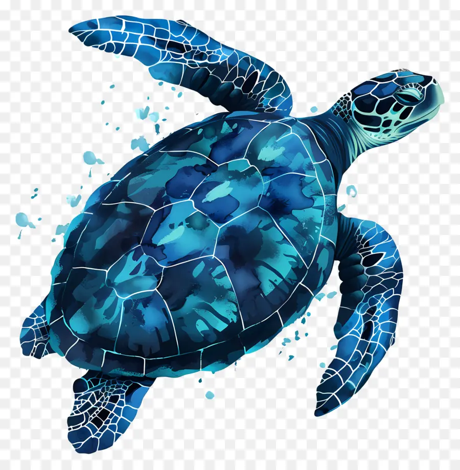 Tartaruga Marinha，Turtle PNG