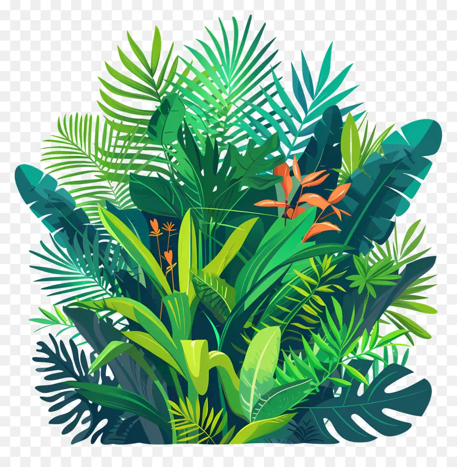 Plantas Exuberantes，Selva PNG