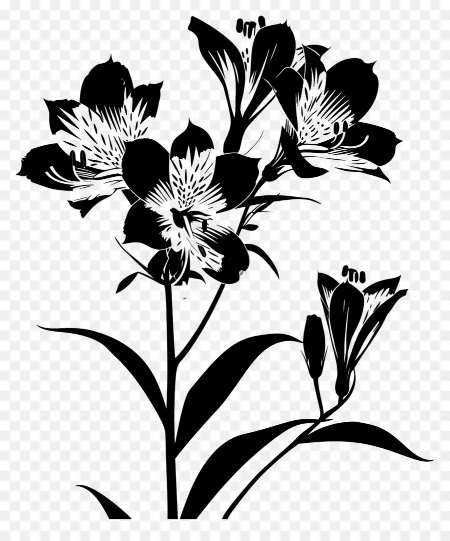 Flores Silhueta，Flores Pretas PNG