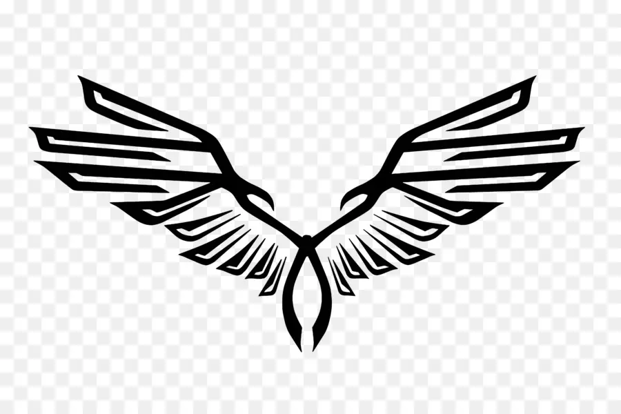 águias Logotipo，Aves PNG