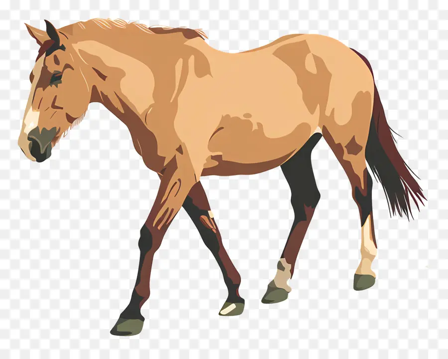 Cavalo De Desenho Animado，Cavalo Marrom PNG