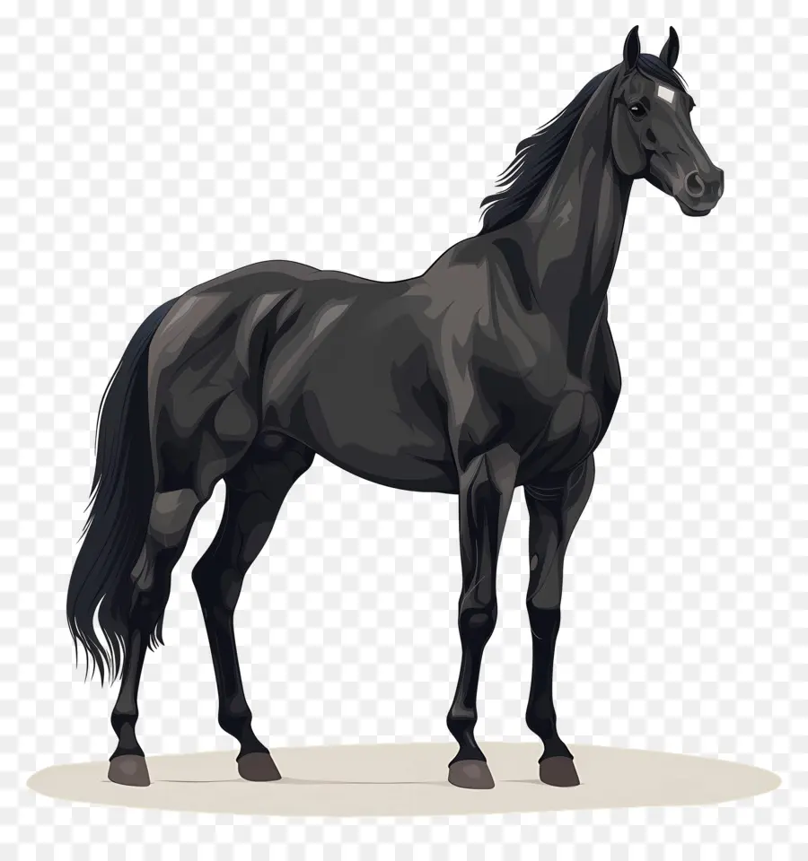 Cavalo Preto，Crina Longa PNG