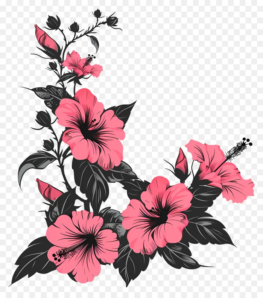 Flores Silhueta，Flores De Hibisco Rosa PNG