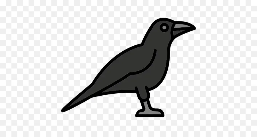 Logotipo Do Ravens，Crow PNG