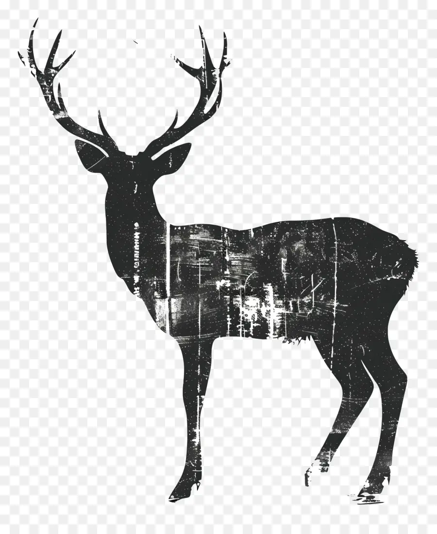 Veado Silhueta，Deer PNG