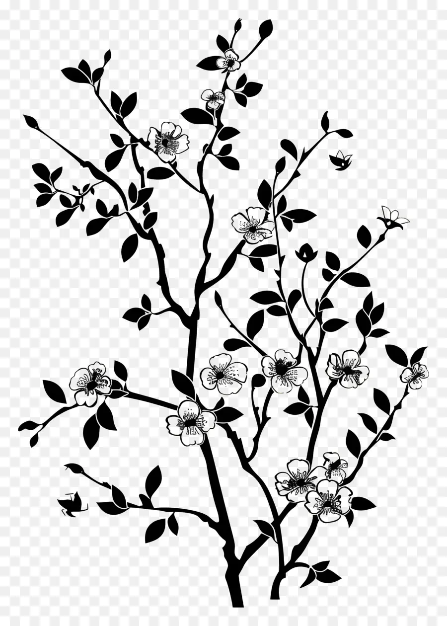 Flores Silhueta，Ramo De árvore PNG