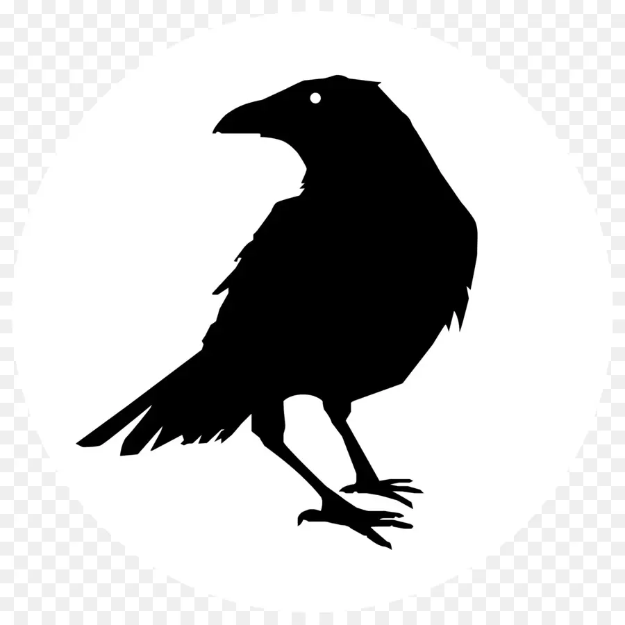 Logotipo Do Ravens，Crow PNG
