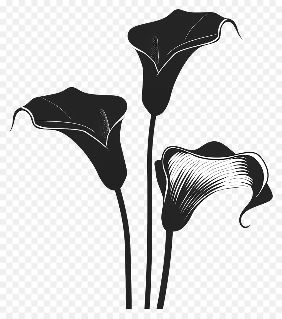 Flores Silhueta，Lírios De Calla PNG