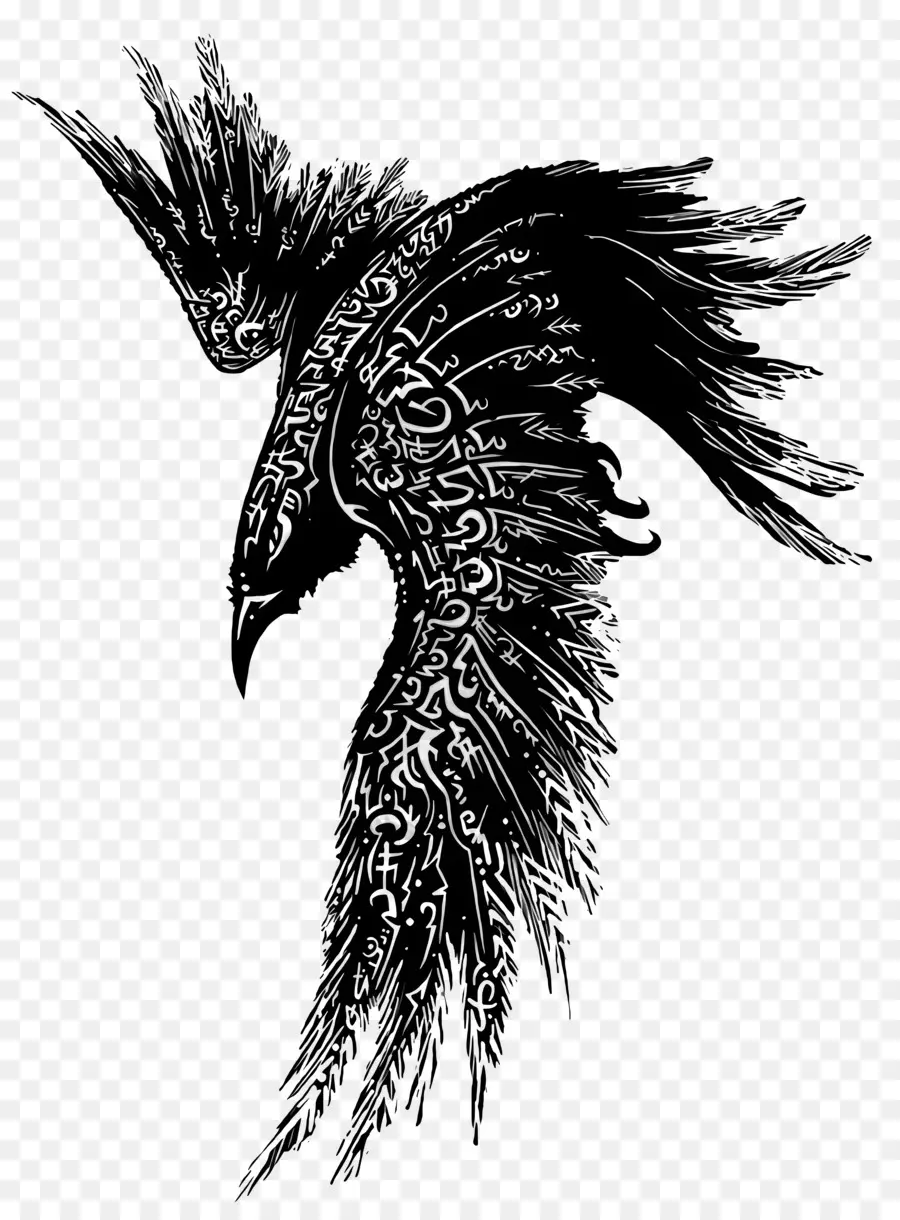 Logotipo Do Ravens，Tigre PNG