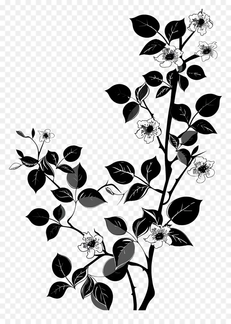 Flores Silhueta，Desenho A Preto E Branco PNG